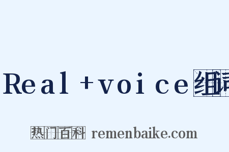 Real+voice组词是什么意思的图片